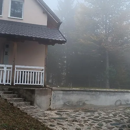 Holiday home Mountain