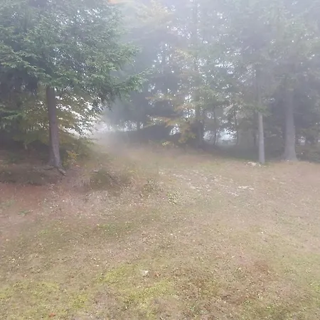 Vikendica Mountain *